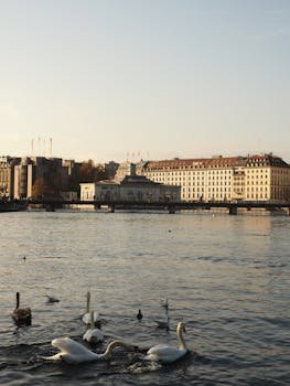 Accessing Your Favorites on Mobile Devices