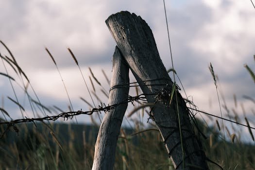 Best Practices for Securing Automatic Router Backups