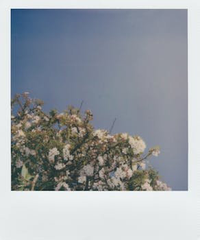 Key Components of Unified Memory