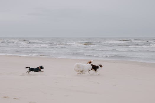 Official Statements and Community Discussions