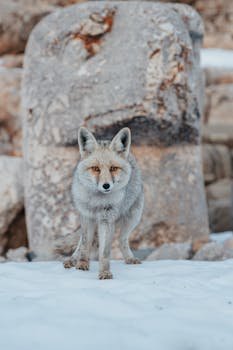 Reasons to Disable Router Ping Responses