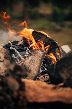 Understanding the Importance of Router Backups and Logs