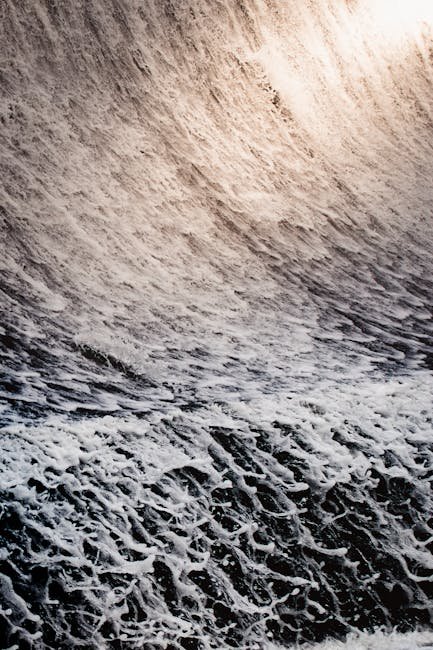 Power Steering Fluid