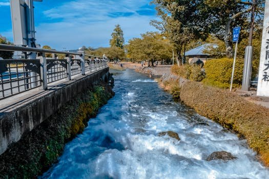 City Libraries image