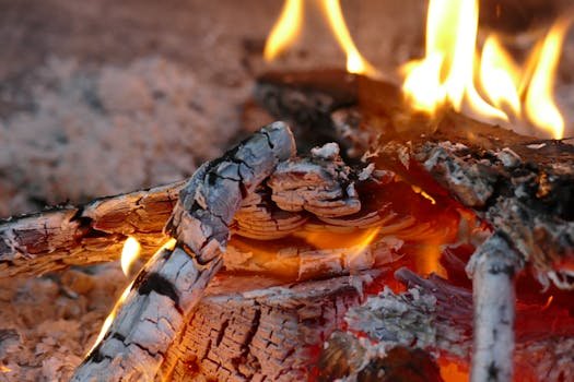 City Libraries image