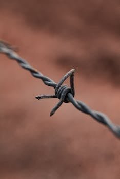 City Libraries image