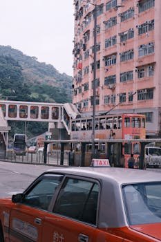 Understanding Torrent Traffic and Its Network