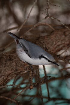 City Libraries image