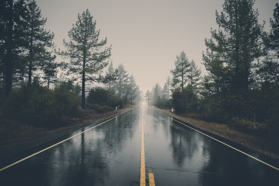 Rainy